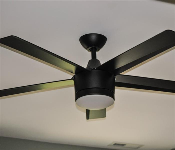 New black ceiling fan on a white ceiling.
