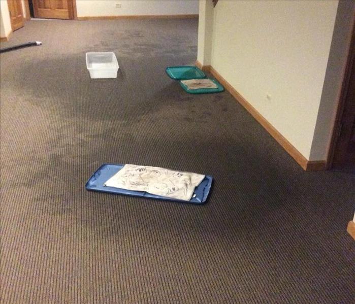 Wet grey carpet in a basement with wet spots on the floor with containers to catch water leaks.